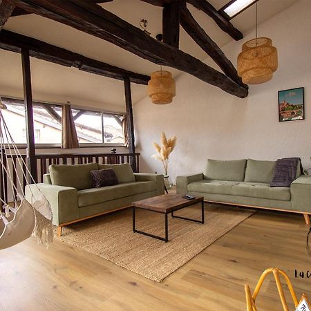 Sous Les Toits De Sainte-Cecile Villa Albi Kültér fotó